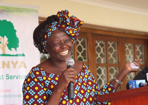 KFEET at 15: Celebrating Wangari Maathai’s Legacy