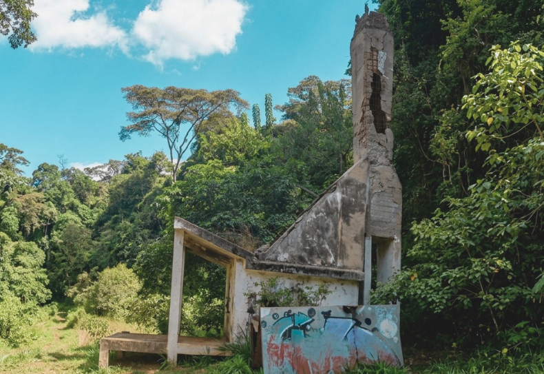 Karura’s Mysterious Chimney: Brick, Bloom, and a Bit of Legend