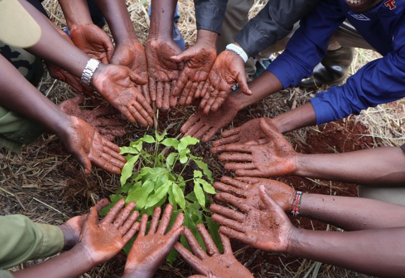 Observing Mazingira Day ,the Karura way